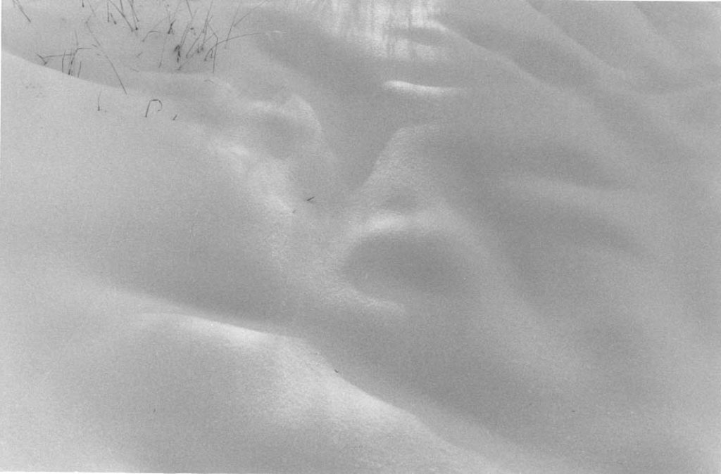 Snow dunes drifts